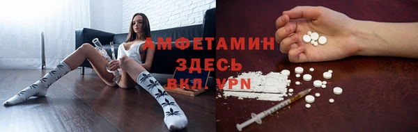 дурь Бронницы