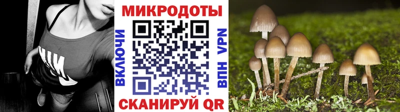 Псилоцибиновые грибы Magic Shrooms  даркнет какой сайт  Кондрово  продажа наркотиков 
